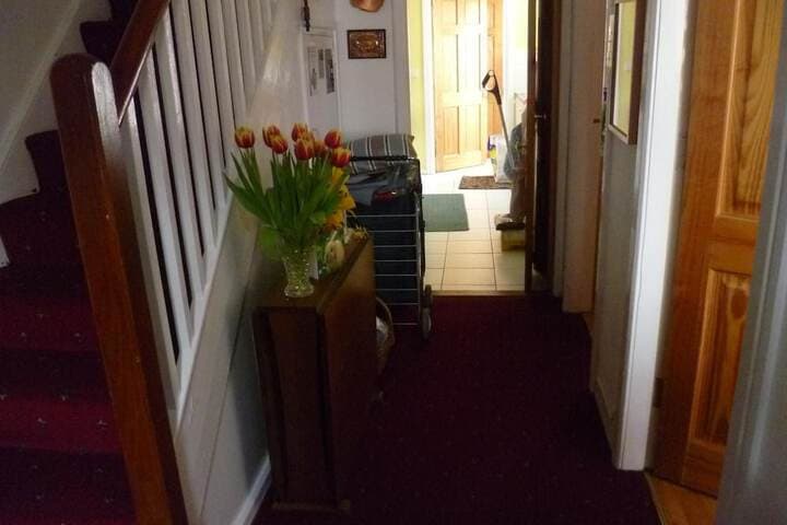 Homely wee House photo 5