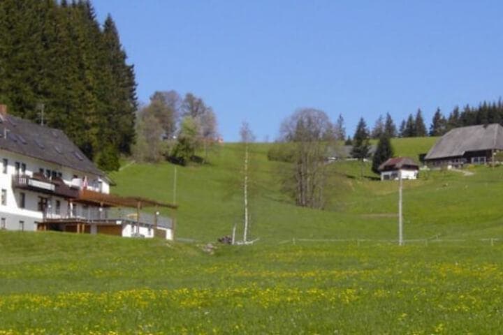 Gasthaus Pension Donishäusle photo 1