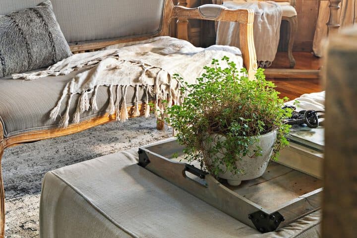 The Watson Boutique Bed & Breakfast photo 4