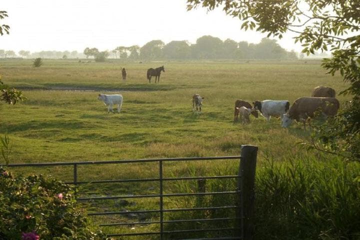 Margarethenhof photo 5