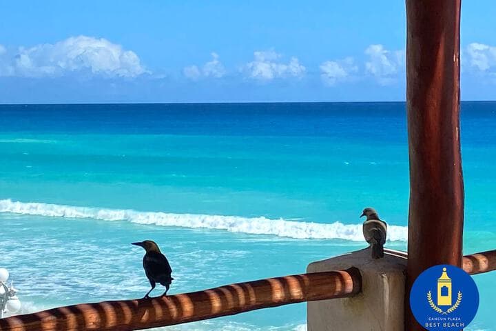 Cancun Plaza Best Beach photo 2