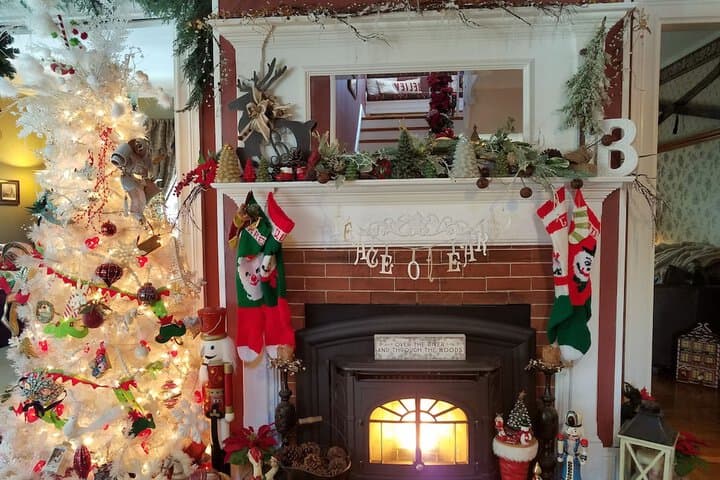 The Perkins House photo 4