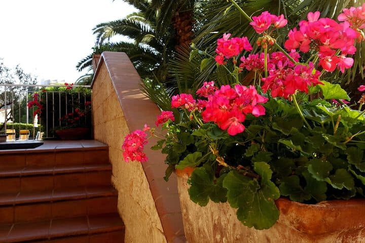 Residence Orchidea photo 3