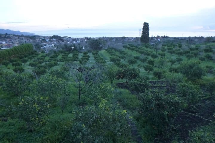 Baglio delle Rose photo 3
