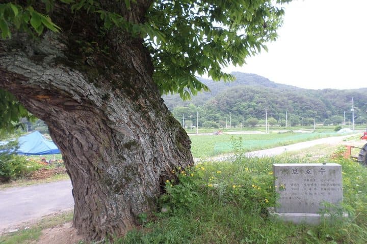 Ongyejongtaek Sambaekdang photo 2