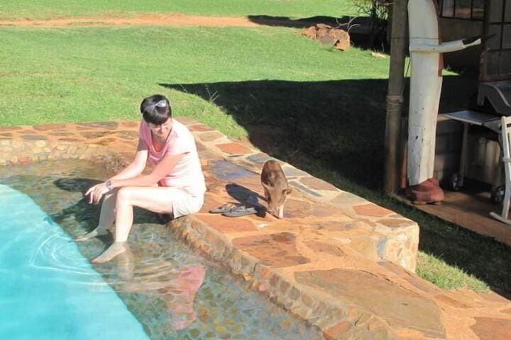 Caracal Lodge photo 5