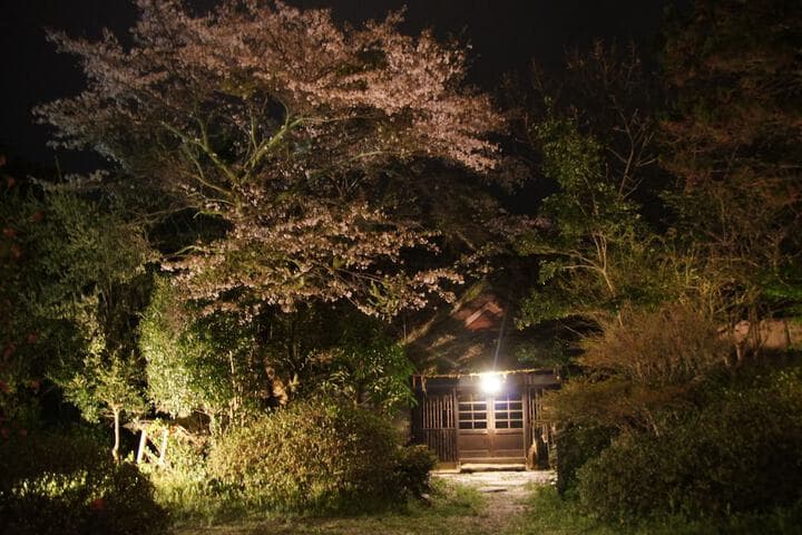 Yufuin Onsen Yufuin Kotobuki Hananosho photo 3