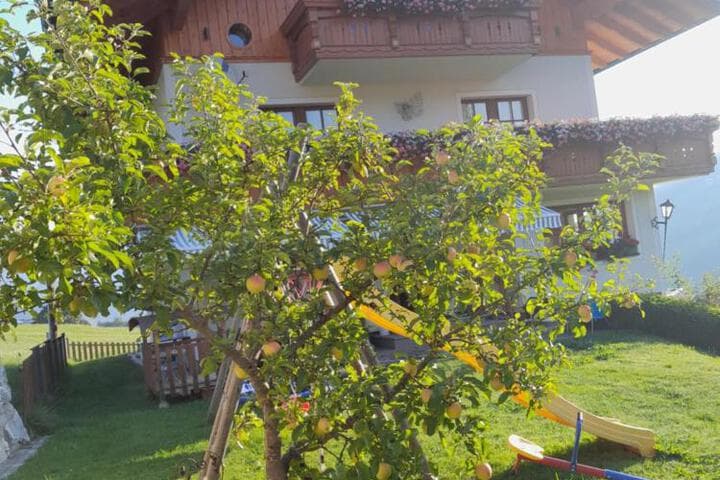 Alpenblick photo 3