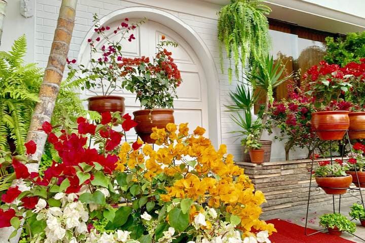 Casa Bella Boutique Hotel San Isidro photo 4