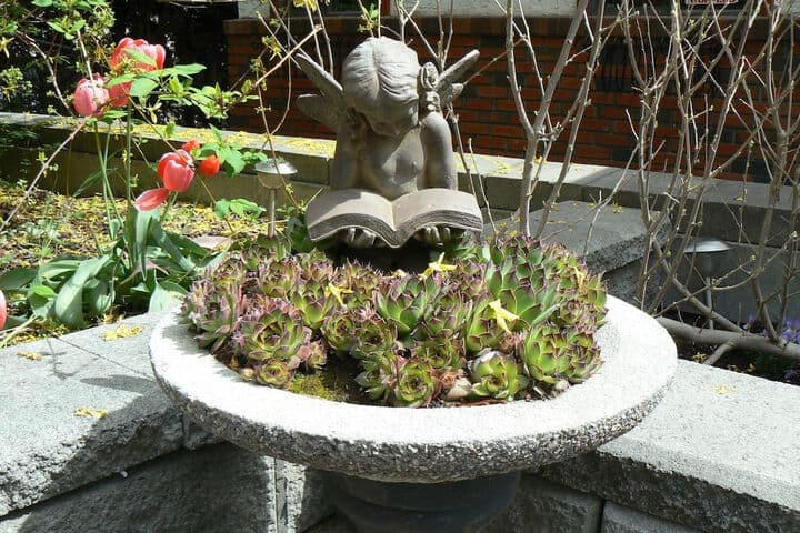 A Touch of English Bed & Breakfast photo 2