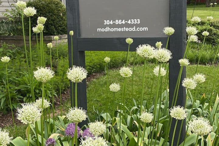 Modern Homestead Guest House photo 2