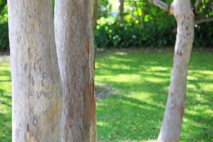The Retreat Port Stephens photo 2