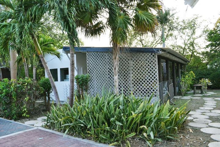 Palm Trees Apartments photo 2