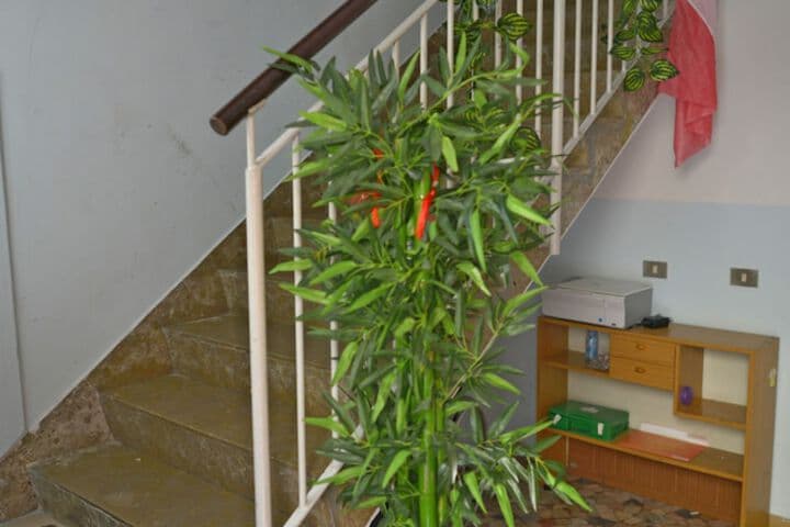 B&B Col Moschin photo 2