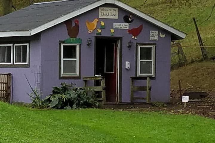 Rainbow Ridge Farms B&B photo 5