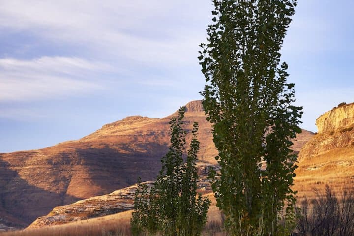 Dynasty Red Mountain Ranch photo 2