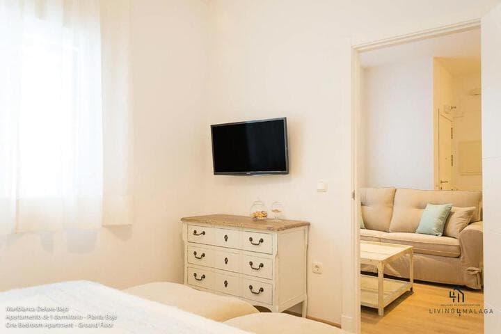 Living4Malaga Boutique Apartments photo 5