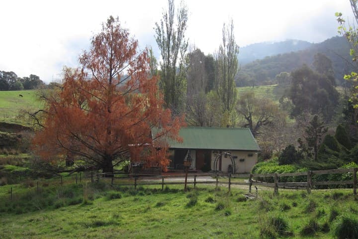 Edelweiss Cottage B&B photo 3