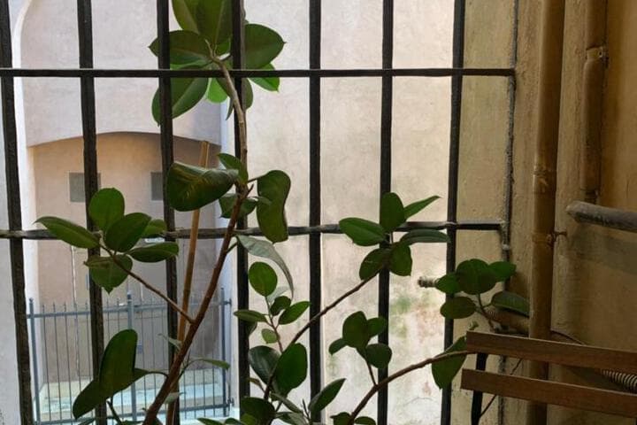 CasaCau photo 2
