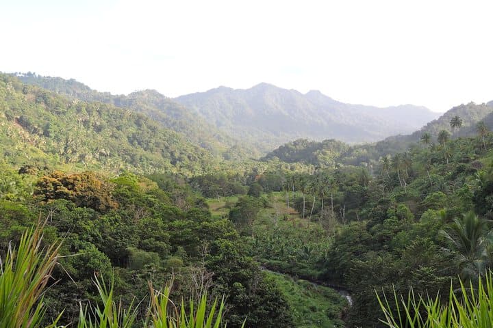 Hibiscus Valley Inn photo 3