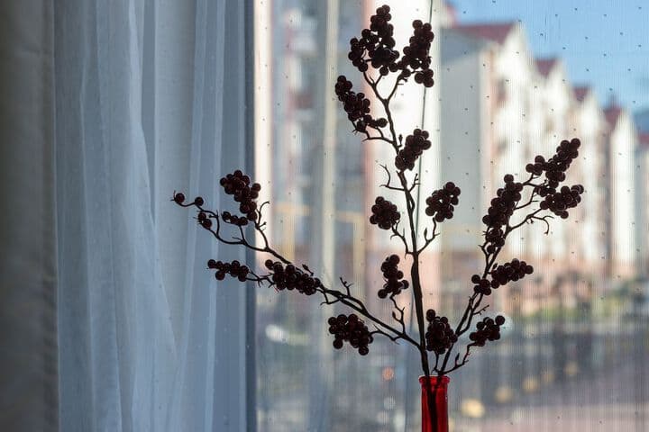Sacvoyage photo 5