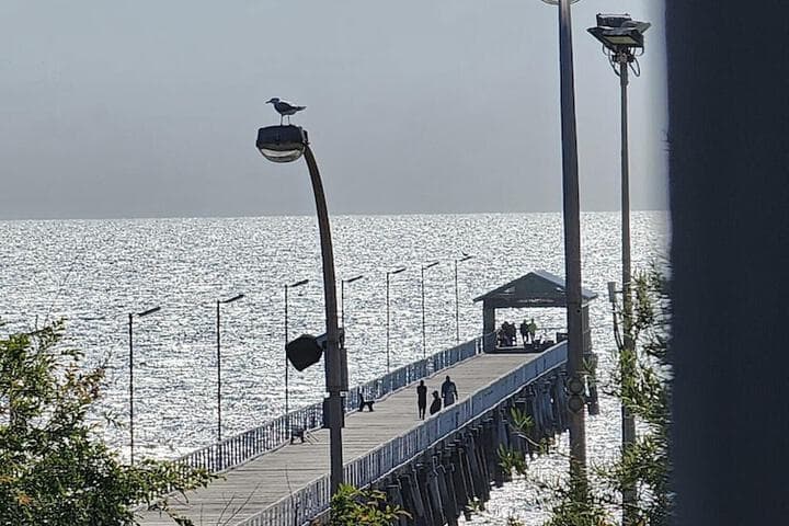 Semaphore Blue Apartments photo 4