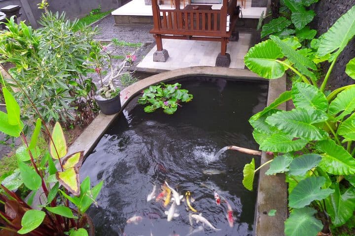 Inang Ubud Villa photo 3