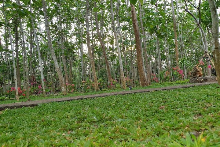 Medori Putih Homestay photo 3