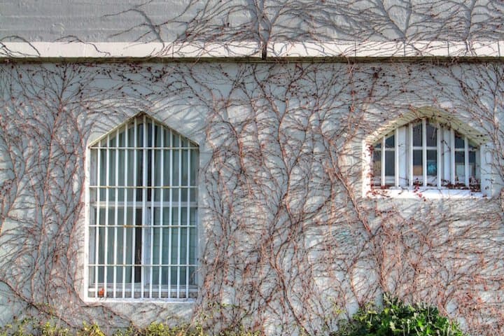 Jailhouse Accommodation Hostel photo 4