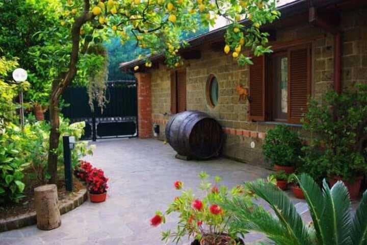 Casale Nunziatina photo 4