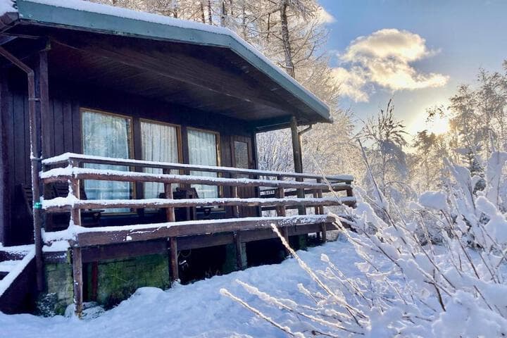 Woodland Retreat photo 3
