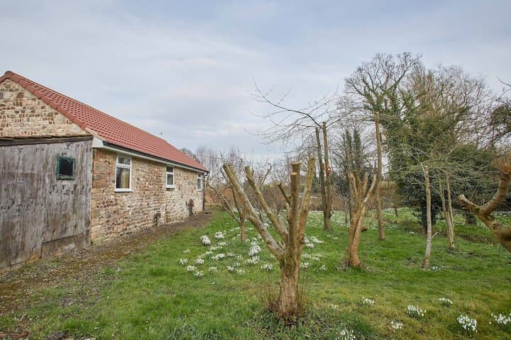 Snowdrop Cottage photo 4