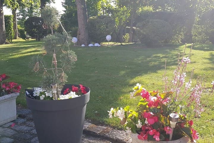 Villa Primerose photo 2