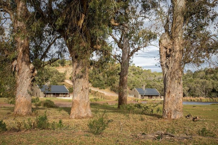 Botlierskop Bush Villas photo 3