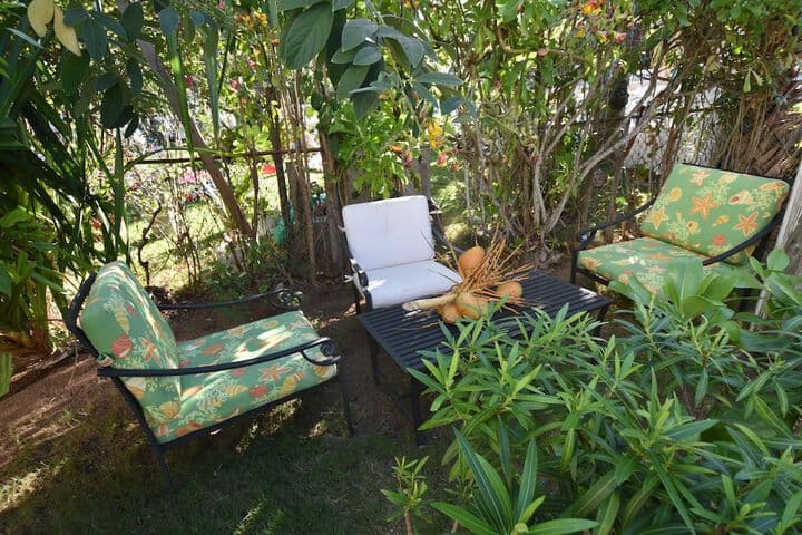 The Sugar Apple Lodging photo 3