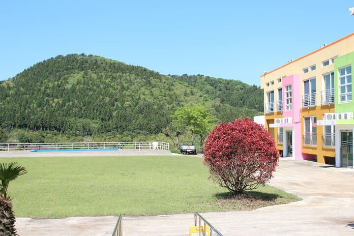 Geomunoreum Hostel photo 3