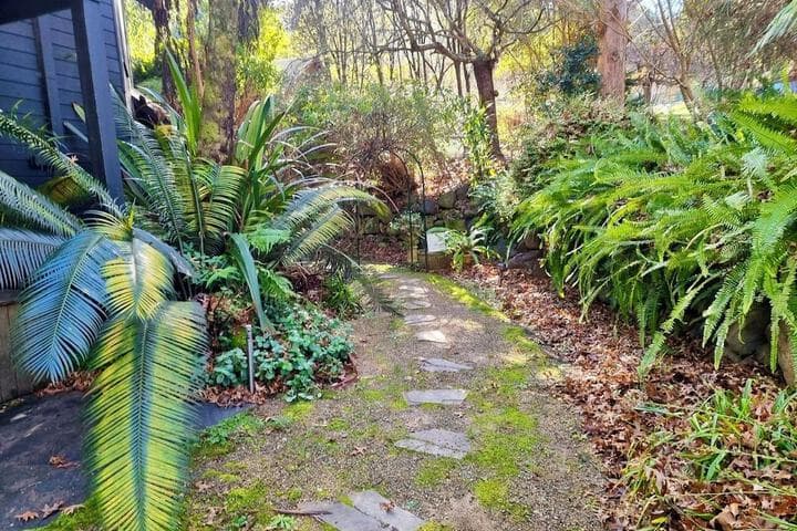 Forget Me Not Cottages photo 2