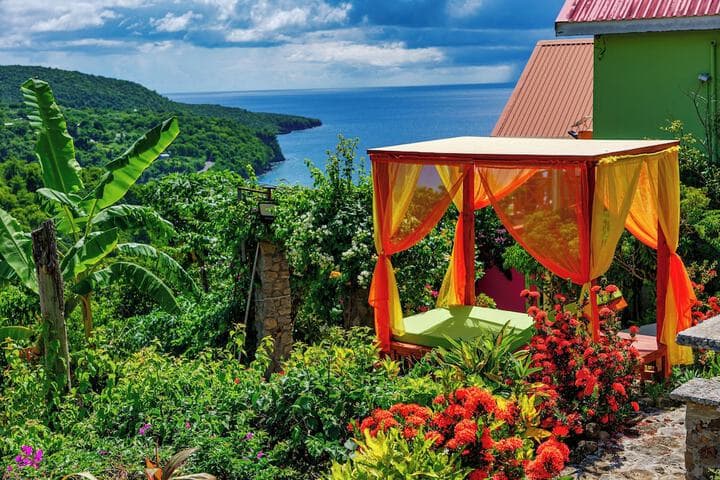 Tropical Paradise View photo 2