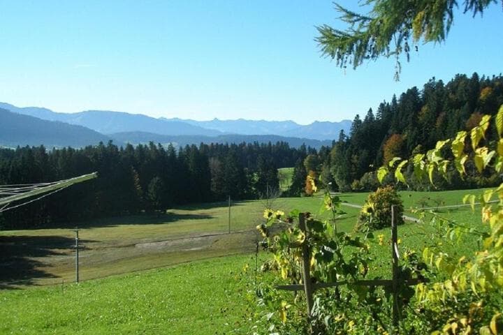 Lindenhof photo 4