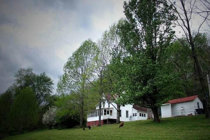 Lost River Hostel photo 2