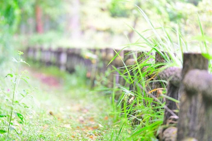 Iwami District destination view