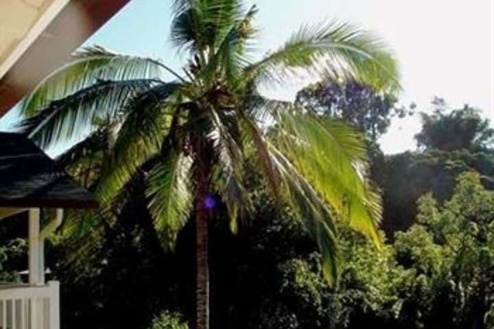 Kaupakulua destination view