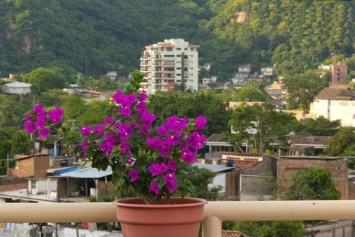 Oasis Hostel photo 4