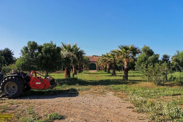 Masseria del Piano photo 4