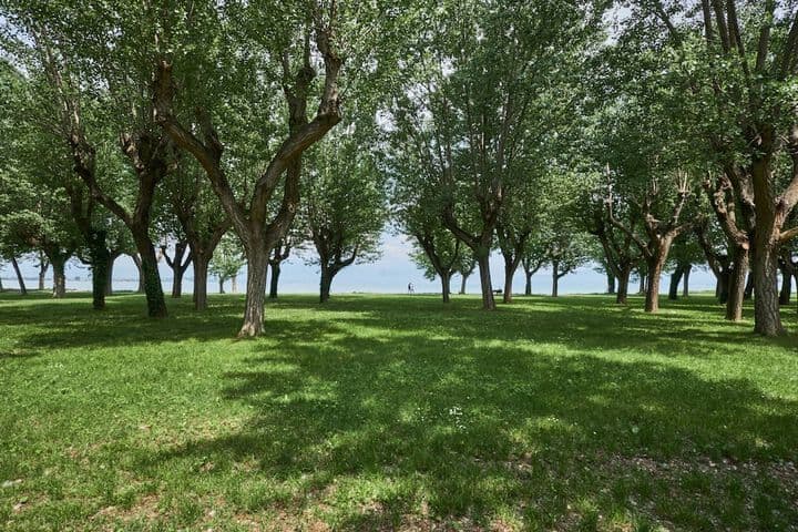 Villaggio Turistico Lugana Marina photo 4