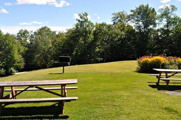 Nordic Village Resort photo 4