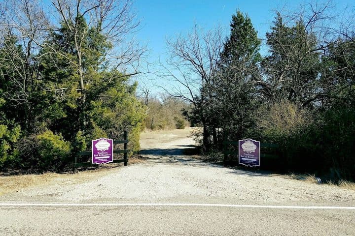 Savannahs Meadow photo 4