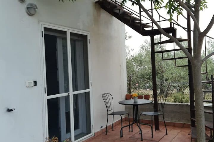 Le Sorbole photo 4