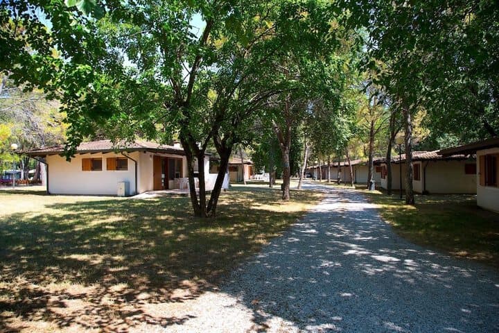 Belvedere Pineta Camping Village photo 2