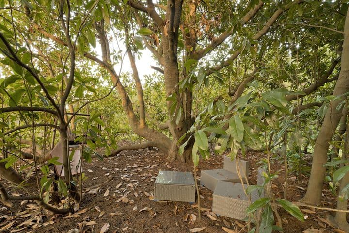Red Hill Bed&Breakfast photo 5